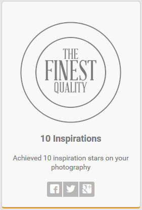 The_Finest_Quality_10_Inspirations
