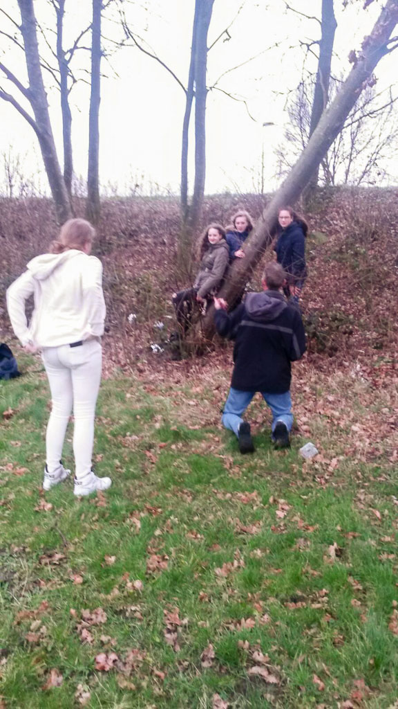 BTS-Boekcover