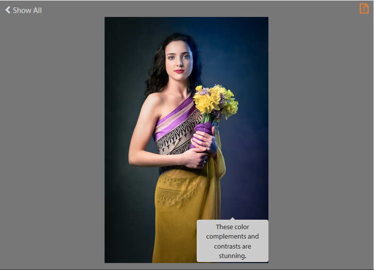 Claartje (1408): "These color complements and contrasts are stunning."