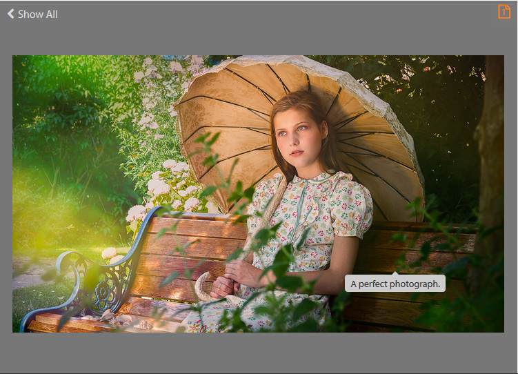 Pien (0416-2): "A perfect photograph".
